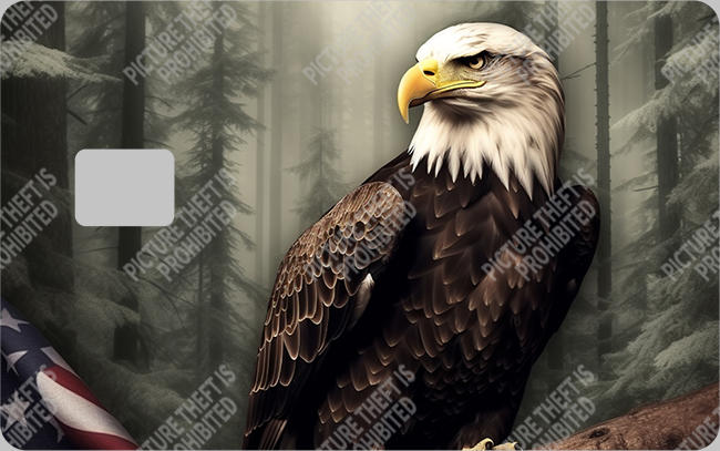 Bank  Card Sticker-BC-385